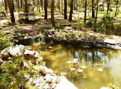 Quinta Dos Amarelos No Meco Otel Aldeia do Meco Dış mekan fotoğraf